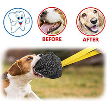 Carica l'immagine nel visualizzatore di Gallery, PetGens Manicotto per Cani, con Una Maniglia, Giochi interattivi cani,...
