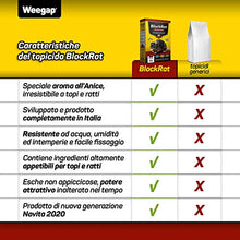 Carica l'immagine nel visualizzatore di Gallery, Veleno per Topi e Ratti, Esca Topicida Ratticida Professionale Potente,...