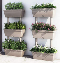 Carica l'immagine nel visualizzatore di Gallery, Balconetta"Lolego" Kit 3+4Pz