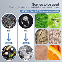 Carica l'immagine nel visualizzatore di Gallery, Microscopio Digitale Wireless, YINAMA Microscopio Ingrandimento da 50X-1000X, 8 luci a LED, Mini Microscopio portatile, 2MP 1080P, compatibile con Android, iPad PC MAC Windows