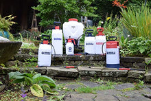 Carica l'immagine nel visualizzatore di Gallery, Spear &amp; Jackson 2LPAPS Spruzzatore da giardino a pressione, 2 litri