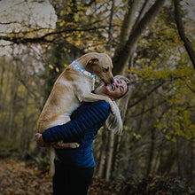 Carica l'immagine nel visualizzatore di Gallery, kolpop Collare Luminoso per Cani, LED Cani blu - Ilgrandebazar