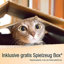 Carica l'immagine nel visualizzatore di Gallery, Bella &amp; Balu Rete protettiva per gatti (trasparente | 10x4m) con 10 x 4 m - Ilgrandebazar