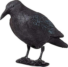 Carica l'immagine nel visualizzatore di Gallery, BREMA Corvo da Giardino, Nero, 38 cm - Ilgrandebazar