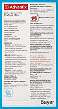 Carica l'immagine nel visualizzatore di Gallery, 2