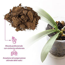 Carica l'immagine nel visualizzatore di Gallery, GebEarth - Terriccio per Orchidee, Substrato per Orchidee da 3 litri【 Terriccio Professionale per tutte le Orchidee 】