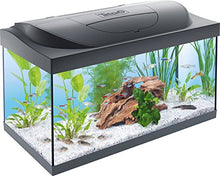 Carica l'immagine nel visualizzatore di Gallery, Tetra Regular Starter Line Aquarium Set Completo con Illuminazione a LED... - Ilgrandebazar