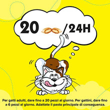 Carica l'immagine nel visualizzatore di Gallery, 13