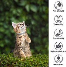 Carica l'immagine nel visualizzatore di Gallery, Collare per pulci di Gatto-Collare insetticidi gatto-12 Mesi gray
