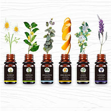 Carica l'immagine nel visualizzatore di Gallery, BEVILLE Oli Essenziali per Diffusori, Aromaterapia Olio Essenziale Biologici... - Ilgrandebazar