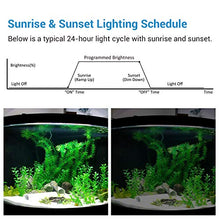 Carica l'immagine nel visualizzatore di Gallery, NICREW Timer dell'Acquario, Illuminazione Acquario Digitale per...