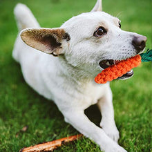 Carica l'immagine nel visualizzatore di Gallery, Toozey Giochi per Cani di Piccola Taglia/Cuccioli - 7pcs Cane... - Ilgrandebazar