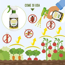 Carica l'immagine nel visualizzatore di Gallery, 6