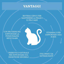Carica l'immagine nel visualizzatore di Gallery, Marchio Amazon - Solimo Alimento secco completo per gatti adulti con 3 kg