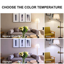 Carica l'immagine nel visualizzatore di Gallery, Lampadine a LED E14 Candela, 5W Equivalenti a 40W, C37 6500K-6Pezzi