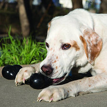 Carica l'immagine nel visualizzatore di Gallery, KONG - Extreme Goodie Bone- Osso gomma resistente cani con masticazione L - Ilgrandebazar
