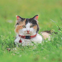 Carica l'immagine nel visualizzatore di Gallery, Set da 6 Collare Gatto o Piccolo Cane Sicurezza Riflettenti Rimovibili... - Ilgrandebazar