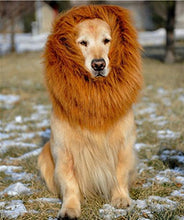 Carica l'immagine nel visualizzatore di Gallery, Etpark Cane Pet Costume, Grande Medio Regolabile Parrucca leone marrone - Ilgrandebazar