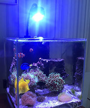 Carica l'immagine nel visualizzatore di Gallery, Lumini - Luce LED per acquario, acqua dolce salata acquario corallo,...
