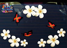 Carica l'immagine nel visualizzatore di Gallery, Fiore frangipani plumeria bianca doppio + farfalla grande adesivi auto... - Ilgrandebazar