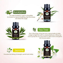 Carica l'immagine nel visualizzatore di Gallery, BEVILLE Oli Essenziali per Diffusori, Aromaterapia Olio Essenziale Biologici... - Ilgrandebazar