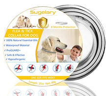 Carica l'immagine nel visualizzatore di Gallery, Collare Antipulci Cane Impermeabile, Collari Antiparassitario per Cani 1