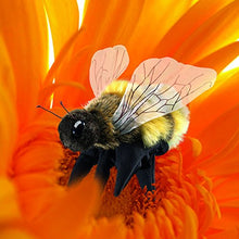 Carica l'immagine nel visualizzatore di Gallery, Folkmanis Honey Bee Puppet Multicolore - Ilgrandebazar