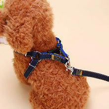 Carica l'immagine nel visualizzatore di Gallery, Set guinzaglio per Cani Collare in Denim Gatto di Small, Nero - Ilgrandebazar