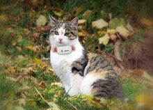 Carica l'immagine nel visualizzatore di Gallery, TKSTAR Mini GPS Tracker, per Pet Tracker Localizzatore, Real-time...