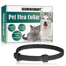 Carica l'immagine nel visualizzatore di Gallery, Collare Antipulci Cane,Collare Per Gatti Antipulci,Collare per Cani...