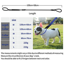 Carica l'immagine nel visualizzatore di Gallery, Guinzaglio resistente per cani di alta qualità, corda arrampicata m, Blu