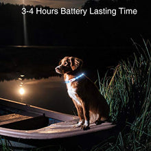 Carica l'immagine nel visualizzatore di Gallery, kolpop Collare Luminoso per Cani, LED Cani blu - Ilgrandebazar