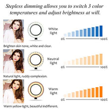 Carica l'immagine nel visualizzatore di Gallery, Pahajim Ring Light Led Luce Anello Kit ad Aggiornato-14 pollici