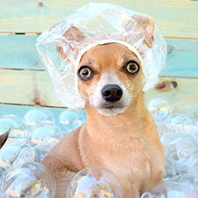 Carica l'immagine nel visualizzatore di Gallery, 200 Pezzi Cuffie da Doccia Monouso per Cappelli Trasparenti di Plastica per... - Ilgrandebazar