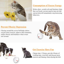 Carica l'immagine nel visualizzatore di Gallery, Giocattolo interattivo per gatti, con funzione timer LED ricaricabile...