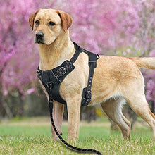 Carica l'immagine nel visualizzatore di Gallery, HAODIUSB88 Guinzaglio per Cani, 1,5 m Robusto Cani con Nero - Ilgrandebazar