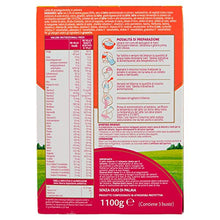 Carica l'immagine nel visualizzatore di Gallery, Plasmon Nutri-Mune 2 Latte in Polvere Stage 2, Special Pack, 1100 g