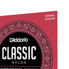 Carica l'immagine nel visualizzatore di Gallery, d'Addario EJ27N Set Corde Classica Ej27 Classic Nylon Dimensioni 4/4 - Ilgrandebazar