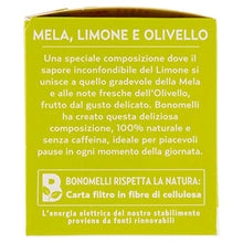 Carica l'immagine nel visualizzatore di Gallery, Bonomelli Infuso Fruttato mela, limone, olivello - 10 filtri