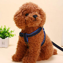 Carica l'immagine nel visualizzatore di Gallery, Set guinzaglio per Cani Collare in Denim Gatto di Small, Nero - Ilgrandebazar
