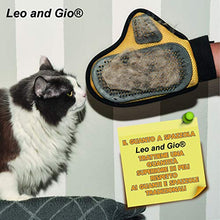Carica l'immagine nel visualizzatore di Gallery, Leo and Gio - Guanto per Cani e Gatti, Spazzola e Rimuovi Pelo Lungo e... - Ilgrandebazar
