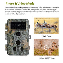 Carica l'immagine nel visualizzatore di Gallery, Videocamera da Caccia 20MP 1080P H.264 Video con Visione Notturna Grigio