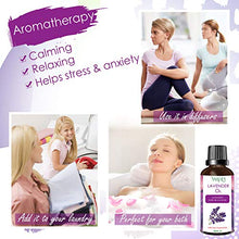 Carica l'immagine nel visualizzatore di Gallery, VSADEY Olio Essenziale di Lavanda 50 ml, 100% Puro e Naturale Olio...
