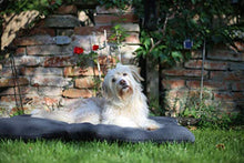Carica l'immagine nel visualizzatore di Gallery, ZOLLNER Cuccia Cuscino per Cane, 70 x 100 cm, Antiscivolo 70 x 100 grigio
