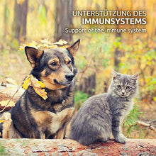 Carica l'immagine nel visualizzatore di Gallery, AniForte Omega-3 Capsule di Olio Salmone per Cani e Gatti 200 -...