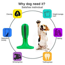 Carica l'immagine nel visualizzatore di Gallery, Bogeer Spazzolino da Denti per Cani Detergente di Cane Dog Verde-L - Ilgrandebazar