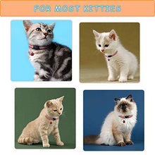 Carica l'immagine nel visualizzatore di Gallery, Collare per Gatti, Collari Gattini con Sonaglio, Regolabile e...