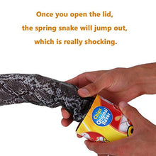 Carica l'immagine nel visualizzatore di Gallery, Apparire Giocattoli a Serpente Prank Trick Toys Gioco di Scherzo Scherzetti... - Ilgrandebazar