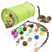 Carica l'immagine nel visualizzatore di Gallery, WeFine per Gatti, 21 pezzi Gatto Giocattoli Interattivi gioco gattino...