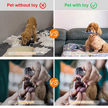 Carica l'immagine nel visualizzatore di Gallery, Focuspet 8 Pezzi Set di Giochi per Cani Cuccioli e Piccola...